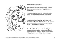 Fehlerlesen-Vögel-im-Winter-Lesetext-2.pdf